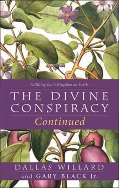 Picture of THE DIVINE CONSPIRACY CONTINUED